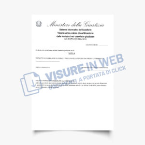 Visura Casellario Giudiziale Online Visure In Web